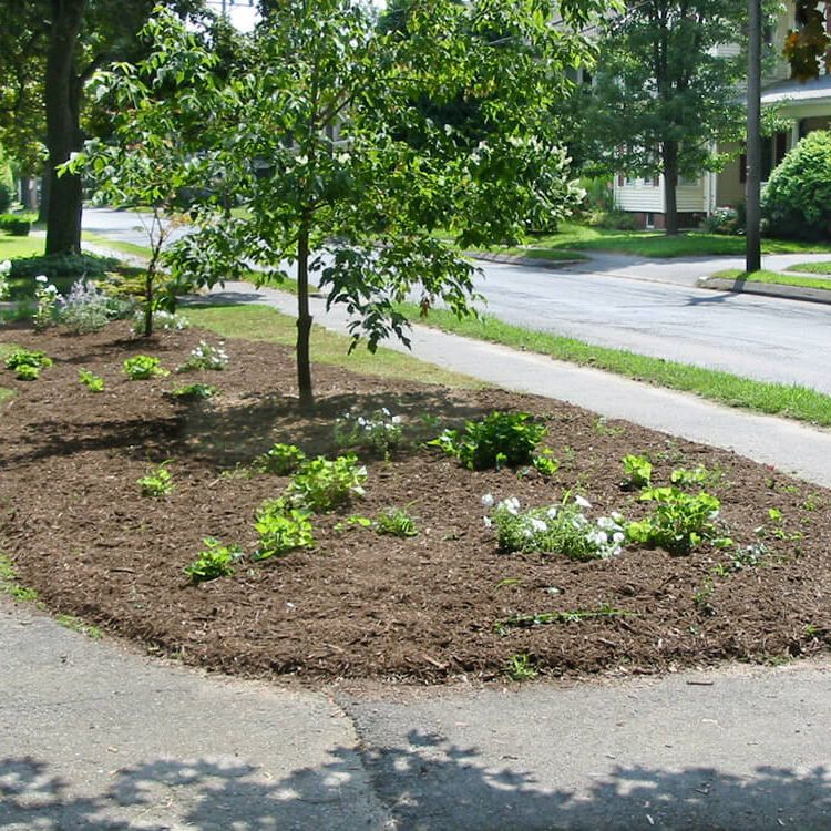 Landscaping by the road