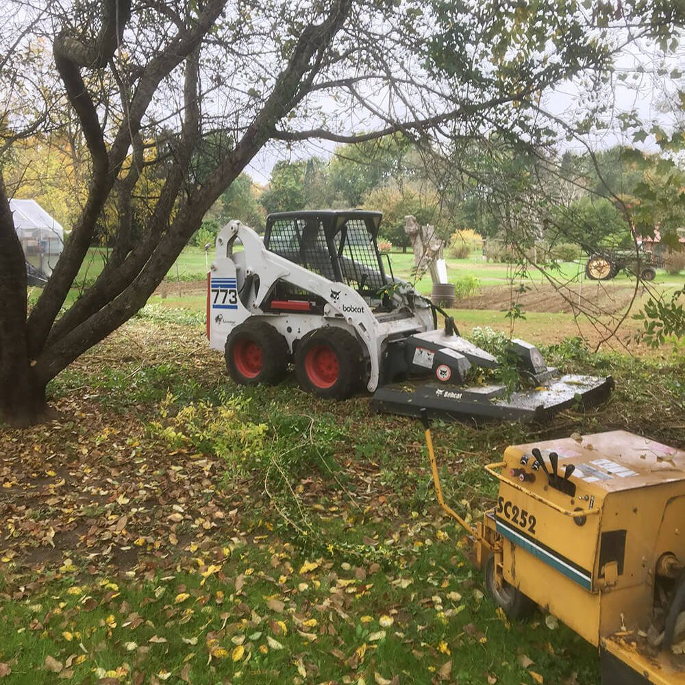 Yard cleanup