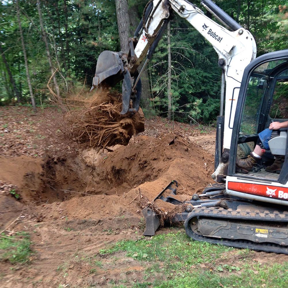 Root extraction